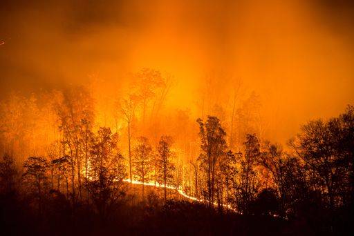  Ein Aufruf zum aktiven Klimaschutz.