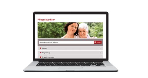  Darstellung der Pflegedatenbank des Freistaat
Sachsen