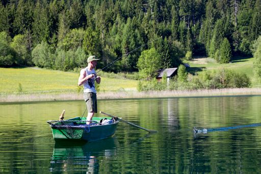 Vorschau Bild von Fischen im Naturpark Weissensee
