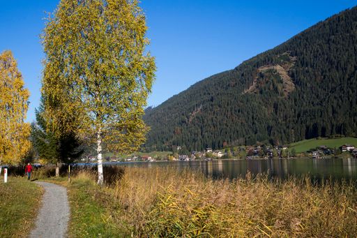 Vorschau Bild von Entspannt am Ufer des Naturpark Weissensee wandern
