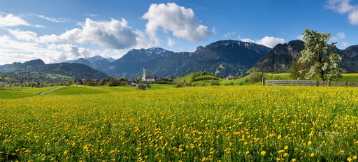  Panoramablick auf Pfronten im Allgäu