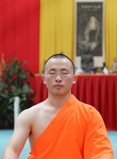 Vorschau Bild von Cheftrainer des Shaolin Tempel Austria – Shi Heng
Zhan