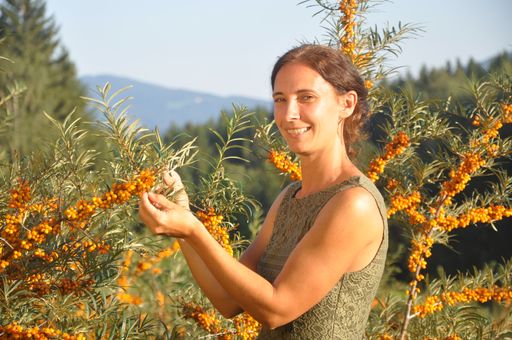 Vorschau Bild von Tanja Kroisleitner beim Begutachten der Sanddornbeeren.