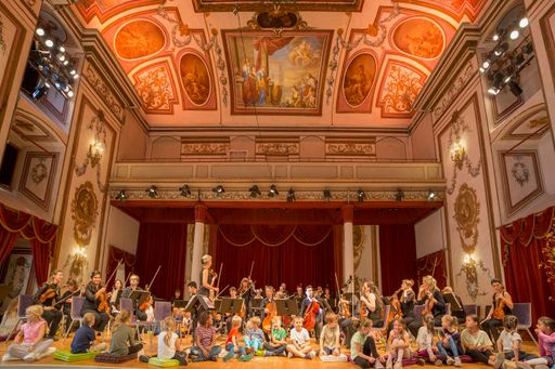 Schulkonzert am 14. September mit der Haydn Philharmonie im
Haydnsaal des Schlosses Esterházy in Eisenstadt