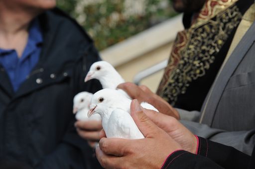 Vorschau Bild von Friedenstauben wurden von den Religionsvertretern freigelassen