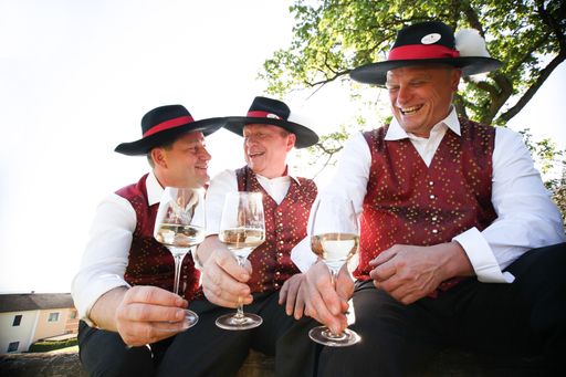  Mostbarone - ein Teil des regionalen Wissens der
Plattform www.mostwiki.at