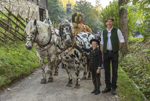 ÖFM Stübing - Feierlicher Einzug der Erntedankkrone auf dem
Norikerfuhrwerk
