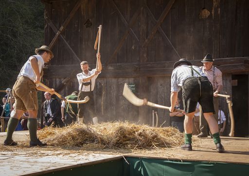 Vorschau Bild von ÖFM Stübing: Dreschen wie anno dazumal