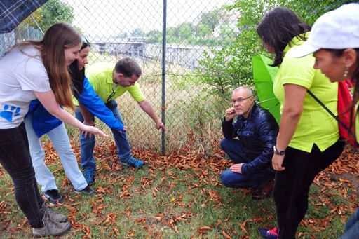  Harald Troch und Team HUNDE.GLÜCK bei der
Begutachtung der schadhaften Stellen im Begrenzungszaun der
Hundezone Edelsinnstraße, Wien-Meidling