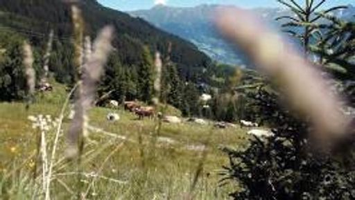 Seit dem 9. September findet der diesjährige
Genussherbst in der Ferienregion Serfaus-Fiss-Ladis in Tirol statt.
Zu den besonderen Highlights zählt unter anderem wieder die
Ausstellung „Kunst am Berg“, bei welcher die Besucher heimischen und
internationalen Künstlern beim kreativen Schaffen über die Schulter
schauen dürfen.