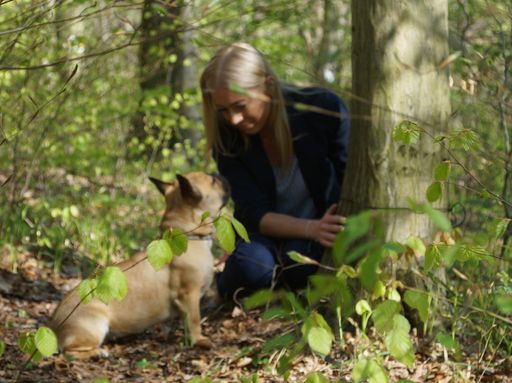 Symbolfoto Naturbestattung