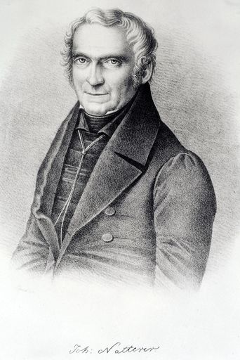 Vorschau Bild von Porträt Johann Natterer