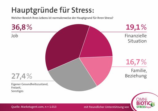 Vorschau Bild von Grafik Stressgründe AT
