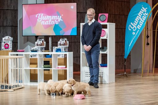 Vorschau Bild von Welpen in der Löwenhöhle