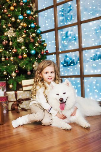 Weihnachtszauber für große und kleinen Hundefreunde