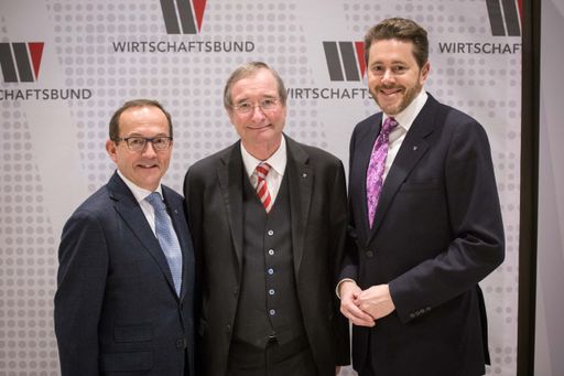  v.l.n.r. Abg.z.NR Peter Haubner, Dr. Christoph Leitl, Dr. Harald
Mahrer