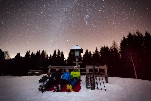 Vorschau Bild von Sternlan schauen im Naturpark