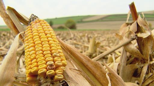 Im Spannungsfeld der letzten – auch für
Verbraucher – spürbaren Entwicklungen des Nahrungsmittelhandels
stellt sich bei der 65. Wintertagung des Ökosozialen Forums die
Frage „Von Milchseen zur Butterknappheit. Was kommt als Nächstes?“
Klar ist, dass die Herausforderungen für die österreichischen
Bäuerinnen und Bauern zunehmend komplexer werden. Die Ausgestaltung
der Gemeinsamen Agrarpolitik der EU, Abhängigkeiten von Abnehmern,
Bürokratieaufwand, Klimawandel oder Digitalisierung sind nur
Beispiele. Ob die Struktur und Qualität der österreichischen Land-
und Forstwirtschaft weiterhin so Bestand haben kann, hängt also von
vielen Faktoren ab. Ein wichtiger Partner um bäuerliche Familien
abzusichern sind die Konsumentinnen und Konsumenten.