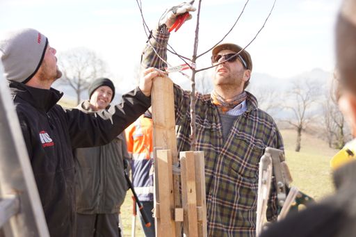 Vorschau Bild von Die richtige Schnitttechnik und Pflege werden bei
den Kursen von versierten Referenten - hier im Bild MMag. Christoph
Mayer - vorgezeigt.