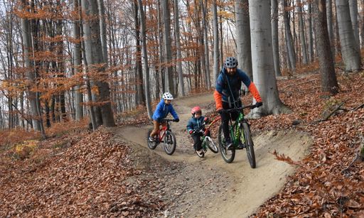 Vorschau Bild von Mountainbikerfamilie - Bild zu OTS