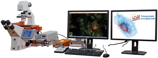  Die TissueGnostics GmbH stellt hochwertige Systeme für die
automatisierte Analyse von Mikroskopbildern in der medizinischen
Forschung her und ist Partner im internationalen InCeM Konsortium.