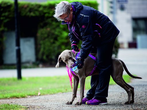 Vorschau Bild von Weimaraner Salia mit Karina Kalks (Obfrau MAA) bei
der Geruchsaufnahme