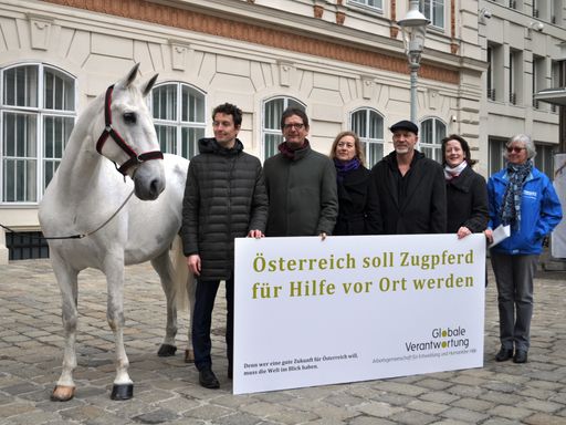 Hilfsorganisationen setzen sich für die Zugpferd für die Hilfe
vor Ort ein!