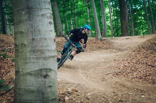 Vorschau Bild von Flowline im Trailcenter Hohe Wand Wiese