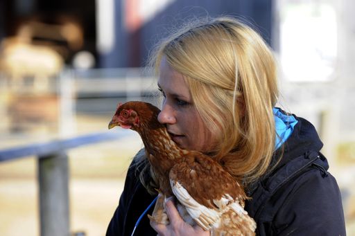 Ostern - kein Fest für Tiere: PFOTENHILFE zeigt
schockierende Bilder geretteter Legehennen