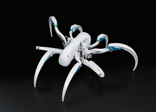 Vorschau Bild von Der BionicWheelBot: Einzigartige Bewegungsformen
nach dem Vorbild der Radlerspinne.