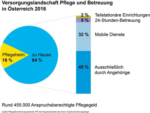 Versorgungslandschaft Pflege und Betreuung in
Österreich 2016