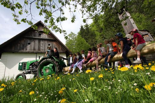 ÖFM Stübing - Kinder begleiten den Maibaum beim
Einzug in das Museumstal