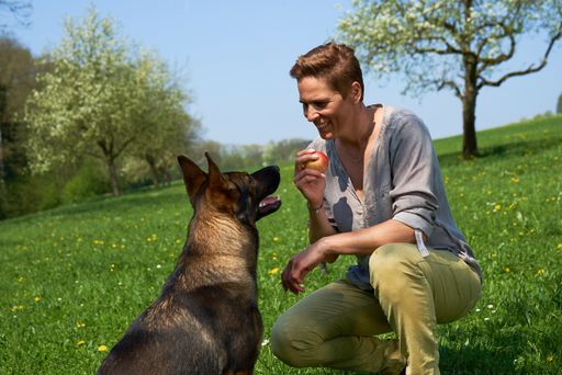 Vorschau Bild von Skilegende Michaela Dorfmeister
