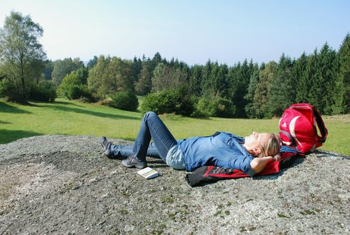 Vorschau Bild von Einfach mal nichts tun und entspannen zwischen Steinriesen und
Quendel-Polstern im Naturpark Mühlviertel