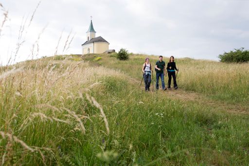  Am Michelberg kann man den Alltag wandernd hinter
sich lassen.