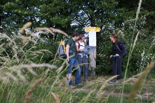 Vorschau Bild von Serviceorientiert und bestens beschildert
präsentiert sich der Jakobsweg Weinviertel
