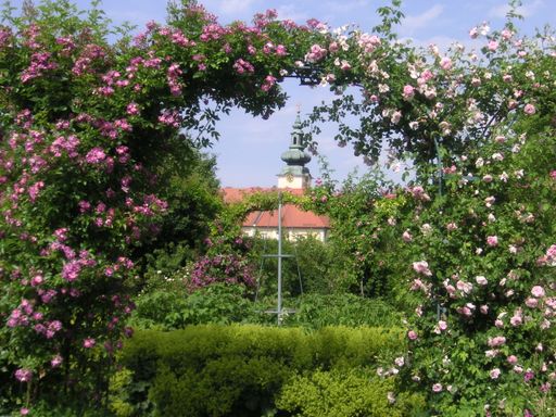  Oasen der Ruhe – Klostergärten im Klösterreich:
www.kloesterreich.at. Die Klösterreich-Broschüre „Kultur –
Be-gegnung - Glaube“ und Klösterreich-Gutscheine erhält man bei:
Klösterreich-Geschäftsstelle, c/o ITA Hermann Paschinger Straßfeld
333, 3491 Straß im Straßertale, AUSTRIA, Tel. +43 (0) 2735 5535-0,
E-Mail: info@kloesterreich.at, Internet: www.kloesterreich.at,
Facebook: www.facebook.com/kloesterreich