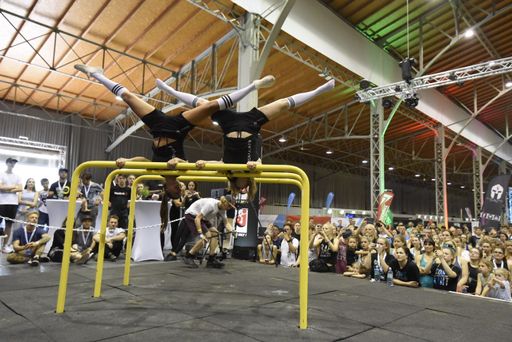 Vorschau Bild von Bodyweight-Day 2018