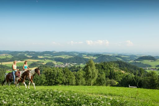  Reiten mit Weitblick im Mühlviertel