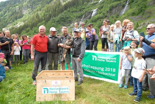 Vorschau Bild von BR Günther Novak (Bürgermeister Gemeinde Mallnitz), Walter Pucher
(Nationalpark Ranger), Michael Knollseisen mit
Bartgeier(Bartgeierbetreuer) und Peter Rupitsch
(Nationalparkdirektor Kärnten)