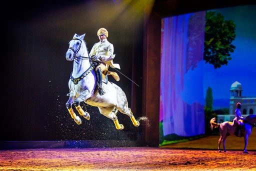 Nachdem das Team der Apassionata World GmbH die Programme der
vergangenen Jahre in jeder Saison verbesserte, wird mit der
Erfahrung aus 15 erfolgreichen Jahren im Bereich Pferdeshow nun eine
neue Marke vorgestellt: "CAVALLUNA - Passion for Horses". Weiterer
Text über ots und www.presseportal.de/nr/55914 / Die Verwendung
dieses Bildes ist für redaktionelle Zwecke honorarfrei.
Veröffentlichung bitte unter Quellenangabe: "obs/Apassionata World
GmbH"
