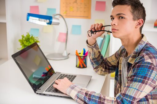 Vorschau Bild von Für Teenager gibt es Spezialcamps zu den Themen „e-Business &
Entrepreneurship, „Lego Mindstorms Experts“ und Programming &
Coding“