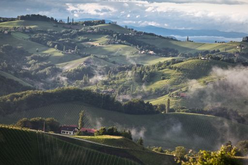 Vorschau Bild von Steiermark im Nebel - Leutschach