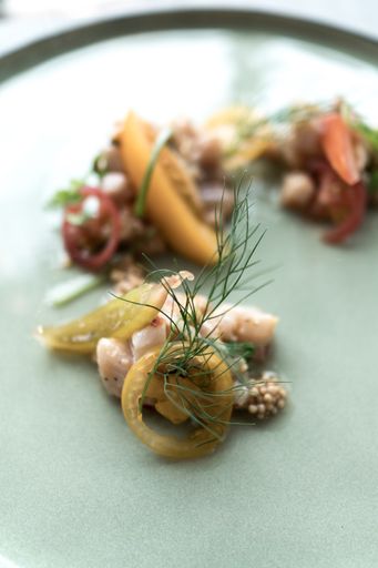 Vorschau Bild von Saibling mariniert | Junglauch | Chili | Ingwer |
Tomaten | Madame Crousto von Öfferl Brot