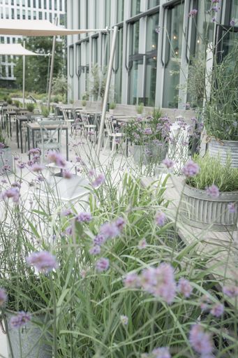 Vorschau Bild von DAS GLASHAUS - Ausssenansicht Terrasse