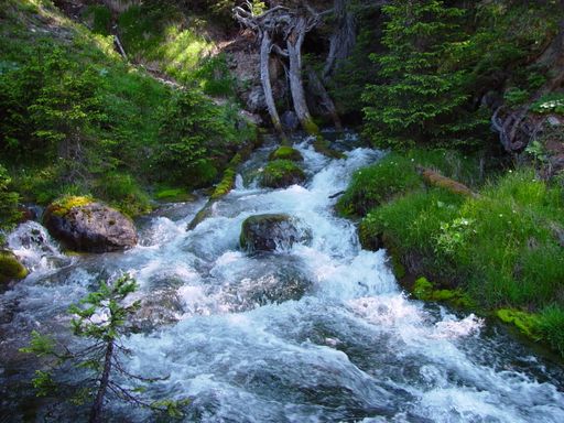 Trotz der vielen Quellen und großen Wasserreserven in Österreich
arbeiten die Wasserwerke ständig an einer Verbesserung der
Versorgungssituation, damit die Österreicher ausreichend Trinkwasser
in bester Qualität bekommen.