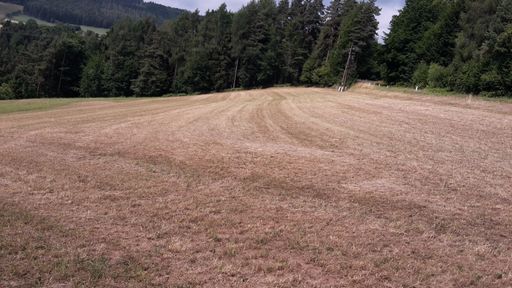 Dürre im Grünland, Oberösterreich