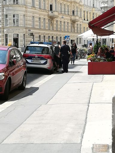 Vorschau Bild von Verhaftung und Abführung der identifizierten Täter.