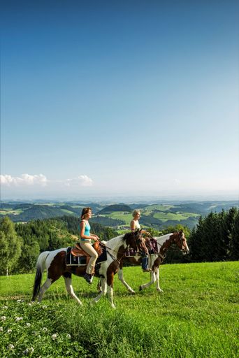 Vorschau Bild von Pilgerritt auf den Spuren des Johannesweges im
Pferdereich Mühlviertler Alm