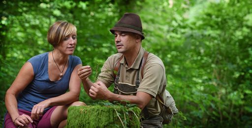 Vorschau Bild von WALDNESS.Coaches bringen den Gästen den Wald wieder
näher, führen bewusst durch den wertvollen Tann!